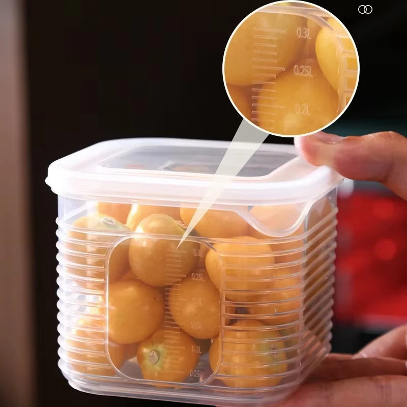Refrigerator Food Storage Container