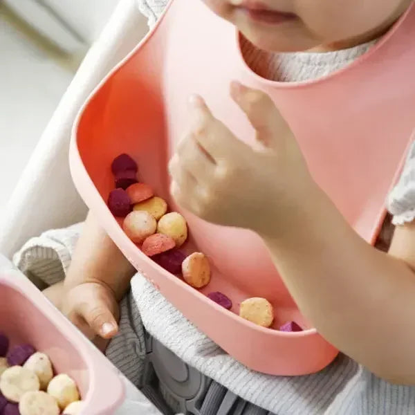 Silicone Baby Feeding  Dish Set